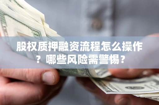 武汉股权质押融资流程怎么操作？哪些风险需警惕？