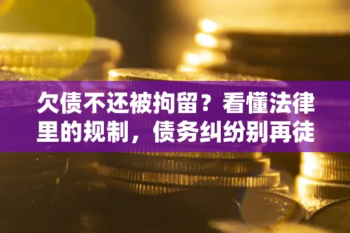 武汉欠债不还被拘留？看懂法律里的规制，债务纠纷别再徒劳奔波