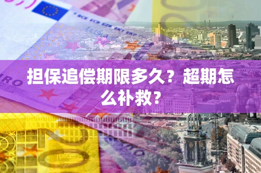 武汉担保追偿期限多久？超期怎么补救？