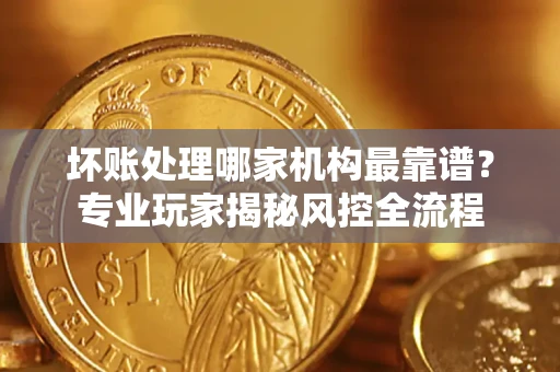武汉坏账处理哪家机构最靠谱？专业玩家揭秘风控全流程