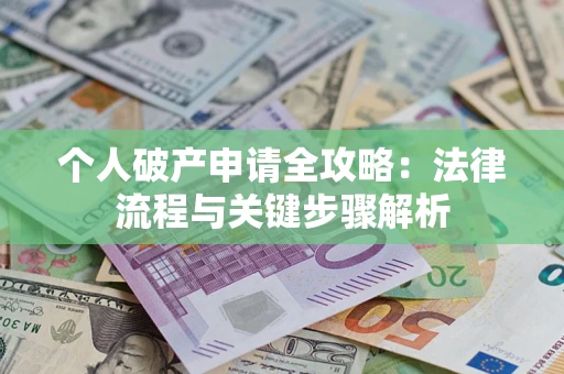 武汉个人破产申请全攻略：法律流程与关键步骤解析