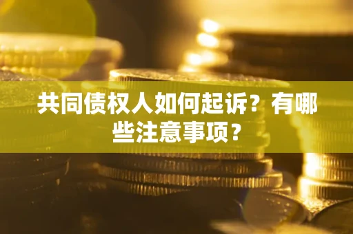 武汉共同债权人如何起诉？有哪些注意事项？